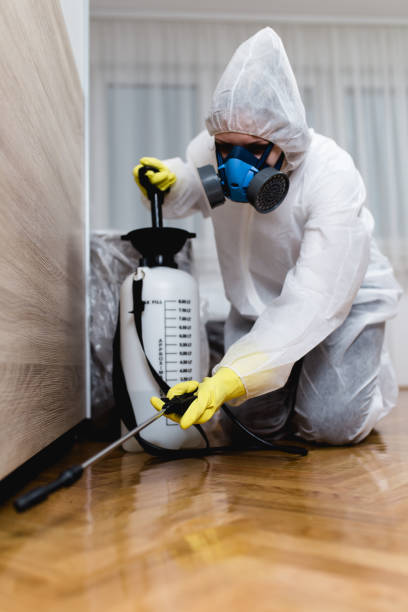 Best Residential Pest Control  in Bay Pines, FL